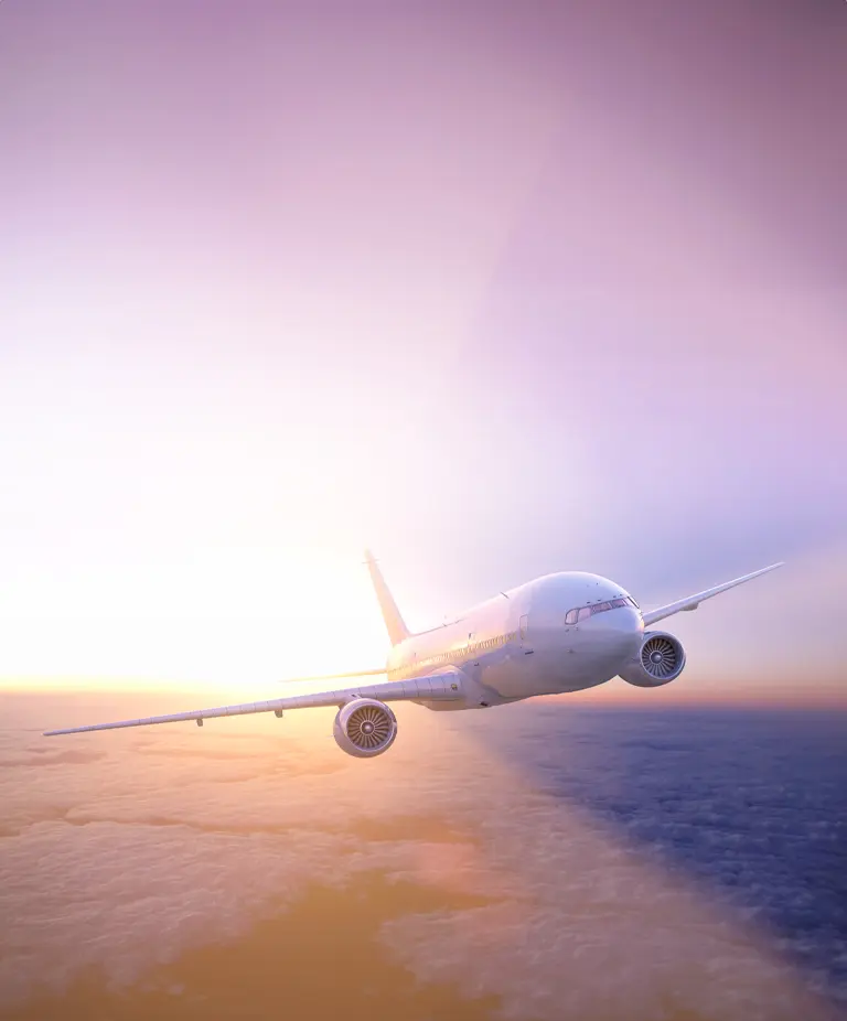 Plane in flight above the horizon